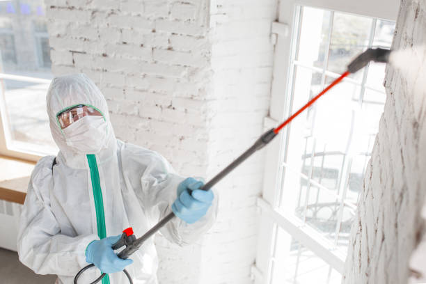 Asbestos and Lead Testing During Mold Inspection in Jamesburg, NJ