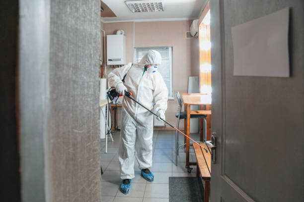 Reliable Jamesburg, NJ Mold Inspection, Removal & Remediation Solutions