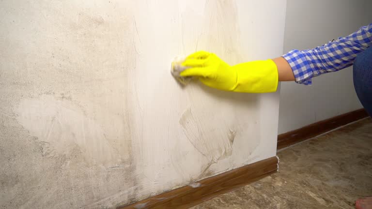 Best Emergency Mold Remediation  in Jamesburg, NJ