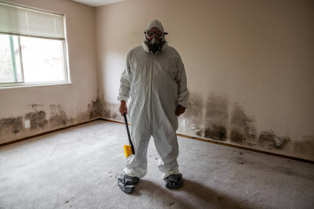 Best Attic Mold Removal  in Jamesburg, NJ